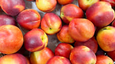 В Нижегородской области выявили 12 партий зараженных овощей и фруктов