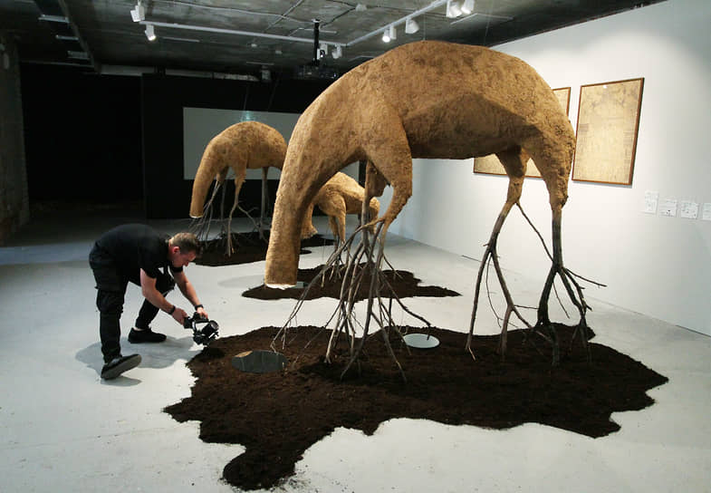 Выставка «Кожа Земли» в гостинице Ермолаевых