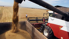 Судебные приставы арестовали у нижегородской компании 420 тонн зерна