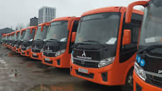 Еще 50 автобусов поступило для общественного транспорта Нижнего Новгорода