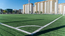 За счет школьных стадионов нижегородские власти хотят сэкономить 8,4 млрд рублей