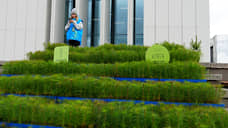 В Нижегородской области с начала года высадили 5,9 тысячи гектаров новых лесов