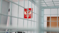 Больница просит продлить лечение нижегородского некрополиста Москвина