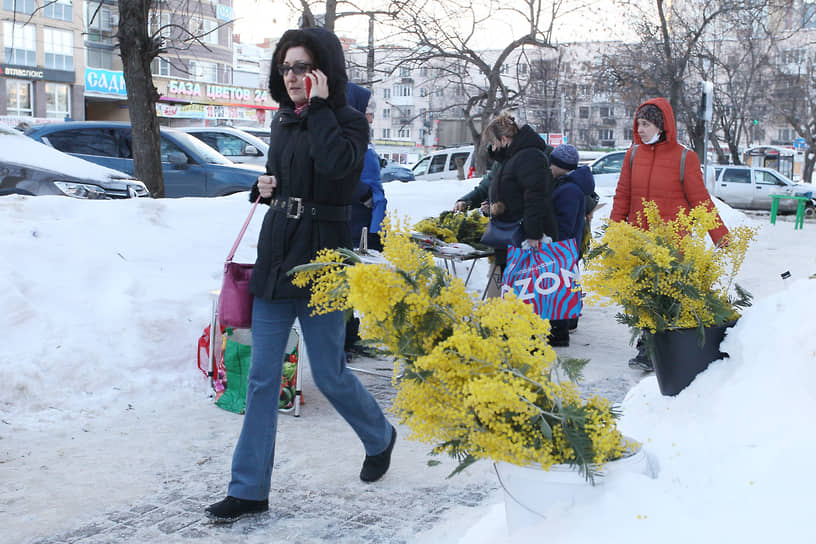 Желтые пятна мимозы традиционно украшают улицы в преддверии 8 марта