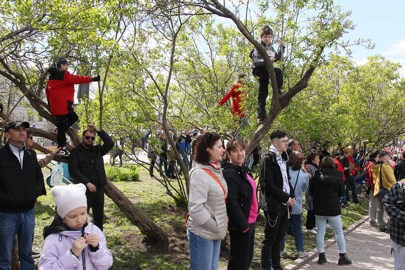Школьники наблюдают за парадом с деревьев