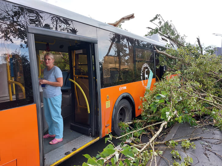 Медсестра бригады &quot;Скорой помощи&quot; в автобусе, на который упало дерево во время урагана