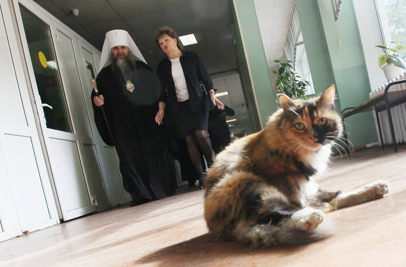 Митрополит Нижегородский и Арзамасский Георгий выходит с избирательного участка мимо кошки, совершающей туалет