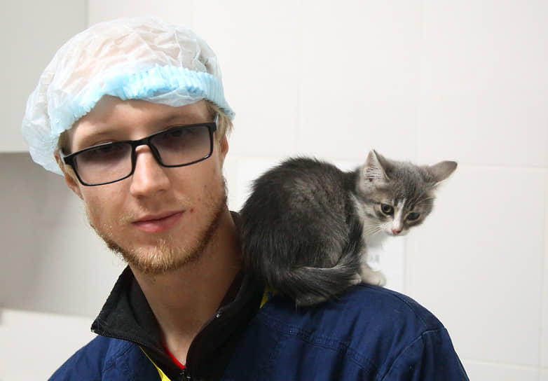 Ветеринар госпиталя &quot;Зоозащита-НН&quot; с котенком на плече