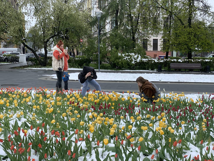 Девушки фотографируются в цветущих тюльпанах под снегом на площади Горького