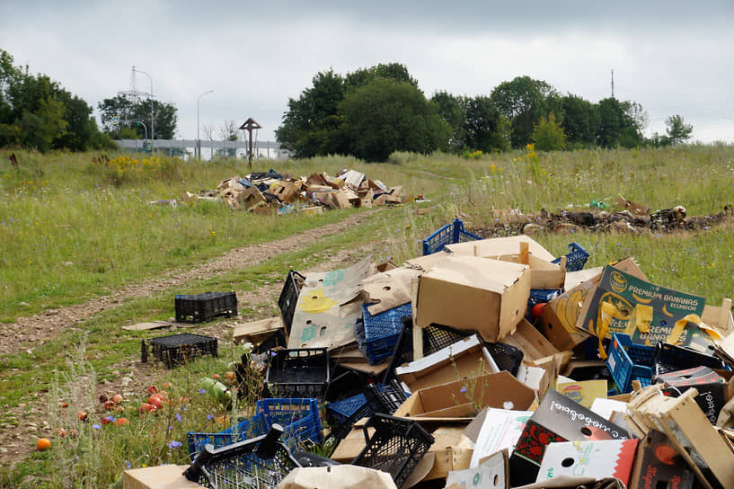 Несанкционированная свалка отходов около ЖК «Новинки Smart City»