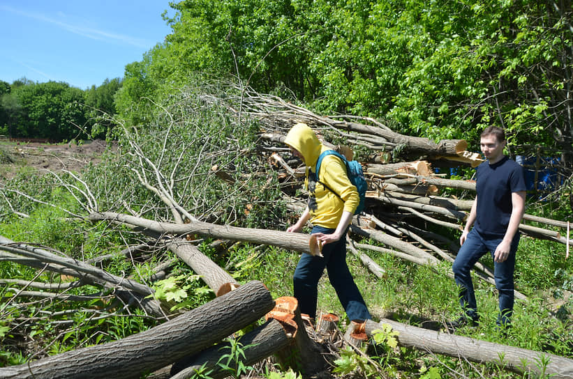 Экоактивисты на месте вырубки деревьев на месте будущей стройки рядом с памятником природы Щелоковский хутор