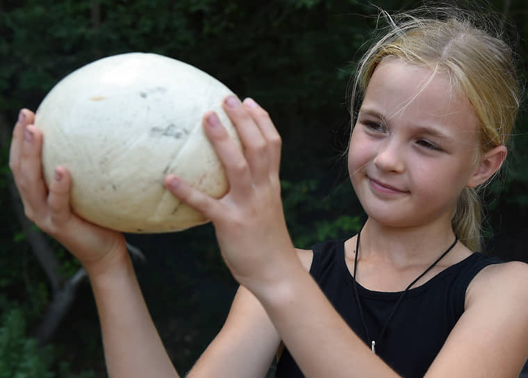 Девочка держит страусиное яйцо
