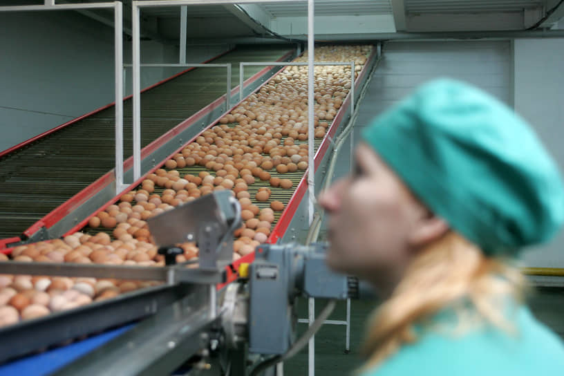 Сеймовская птицефабрика. Девушка сидит у конвейера с яйцами