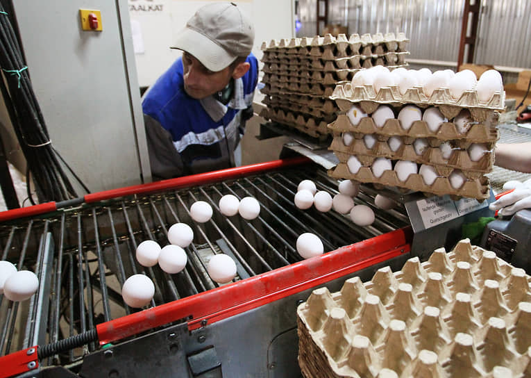 Цех фасовки яиц Дивеевской птицефабрики