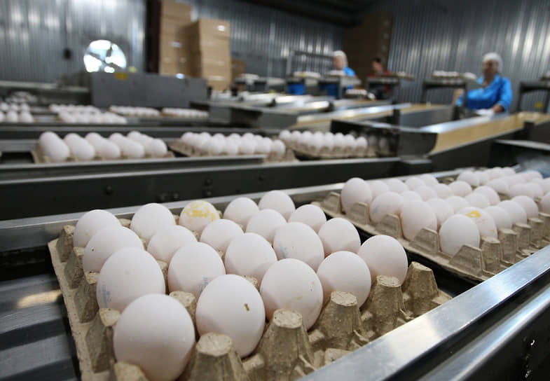 Цех фасовки яиц Дивеевской птицефабрики