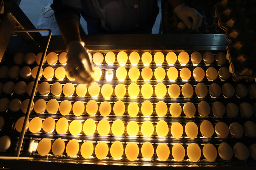 Проверка качества яиц