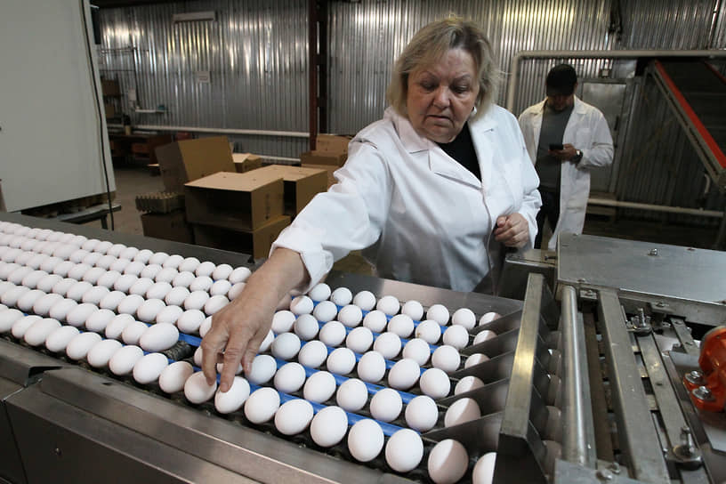Цеха фасовки яиц Дивеевской птицефабрики