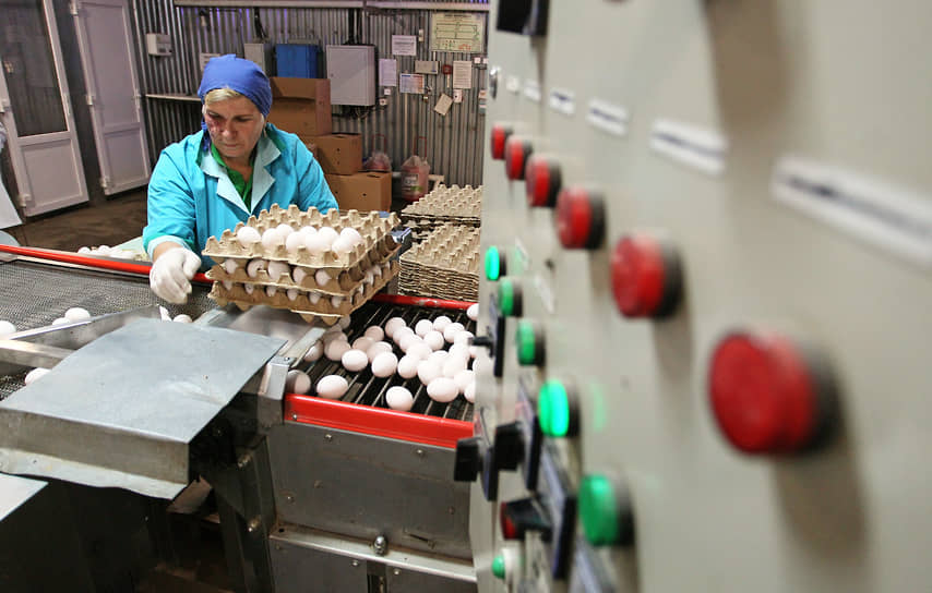 Работа Дивеевской птицефабрики