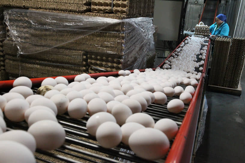 Цех фасовки яиц