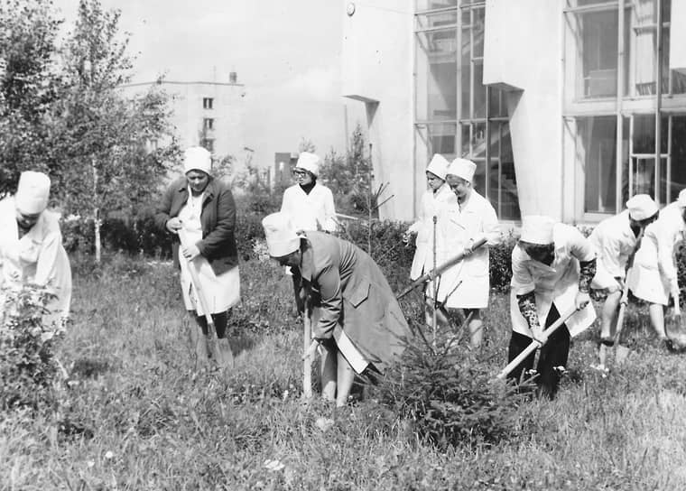Субботник на территории больницы