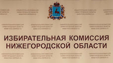 Безопасность превыше всего: в Нижегородской области идет подготовка к голосованию по поправке в Конституцию