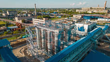 Химия роста
