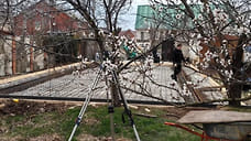 В Анапе началось строительство экстренного стационара для спасения дельфинов