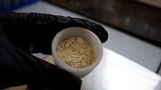 Глютен из Новороссийска отправили на экспорт в Турцию, Южную Африку и Таиланд