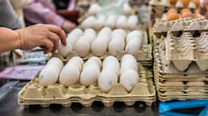 Мэрия Анапы судится с владельцами нелегального продуктового рынка