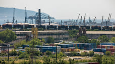 В морском порту Новороссийска выявили 37 случаев карантинных вредителей