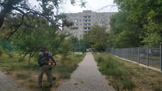 В Анапе на наличие амброзии за 2 недели проверили около 500 земельных участков
