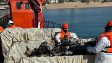Очистку дна Черного моря от мазута в Анапе могут завершить в июне 2025 года
