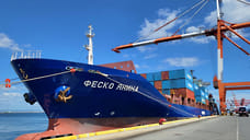 FESCO поставила третий контейнеровоз на линию между Индией, ОАЭ и Новороссийском