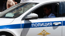 Полиция прокомментировала избиение блогером ребенка в Геленджике