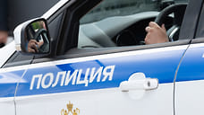 Полиция Новороссийска устанавливает личность душившего собаку местного жителя