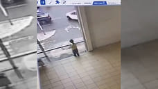 Адвокат рассказала, кто ответит за смерть ребенка в ТЦ Новороссийска