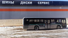 В Новороссийске разберутся с водителем автобуса, назвавшим ребенка инвалидом
