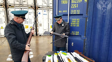 В Новороссийске пресекли контрабанду 1,3 тысячи винтовок из Турции