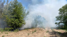 В Геленджике потушили возгорание сухой растительности
