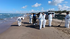 Волонтеры обнаружили мазут на берегу Темрюкского района