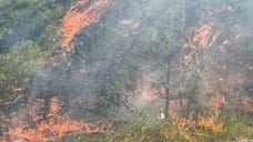 Под Геленджиком локализовали лесной пожар