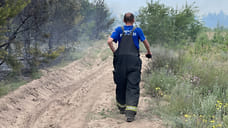 В Геленджике локализовали лесной пожар на площади 10 га