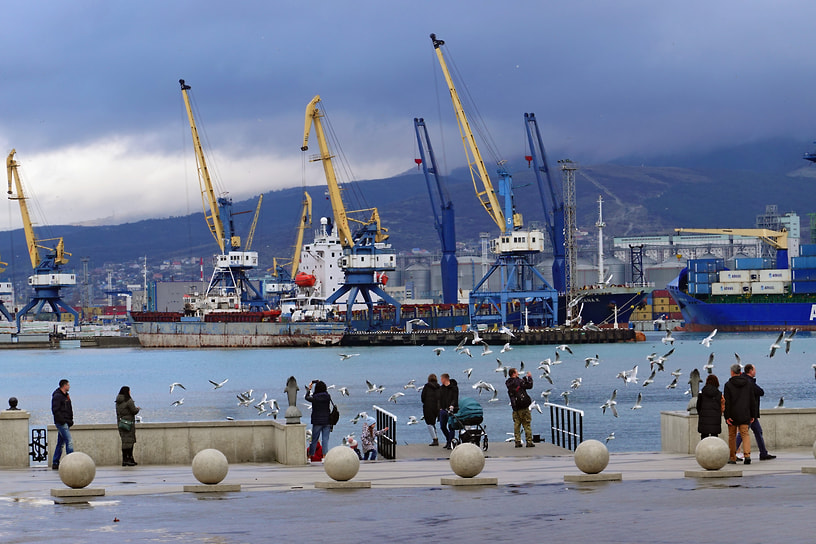 Новороссийский морской торговый порт является третьим портовым оператором Европы. В Группу НМПТ также входят порт Приморск на Балтийском море и порт Балтийск в Калининградской области (оба под санкциями)