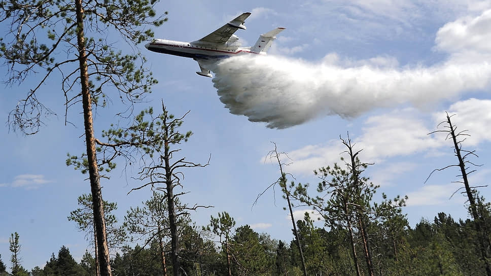 В этом году в Сибири из-за лесных пожаров уничтожено почти 9 млн га леса