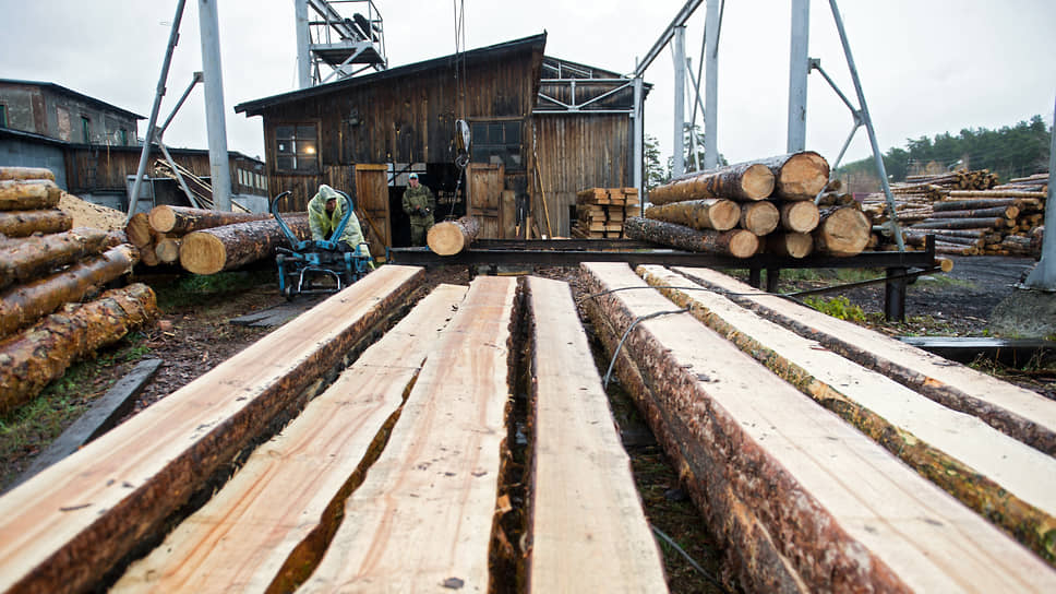 Организованное в Иркутской области преступное сообщество в течение четырех лет незаконно вывезло за рубеж около 200 тыс. куб. м древесины