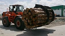 «Алтай-форест» вложит 250 млн рублей в запуск энергокомплекса по переработке древесины