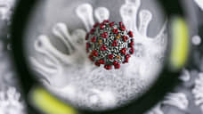 В Новосибирске начался форум OpenBio-2020