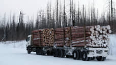 Банда «черных» лесорубов нанесла ущерб лесному фонду Красноярского края на 35 млн рублей