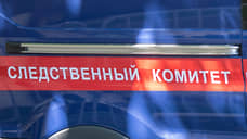 СКР возбудил дело против мужчины, который отказался надевать маску в красноярском ТЦ