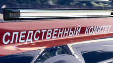 Руководство двух кондитерских компаний на Алтае подозревается в невыплате зарплаты сотрудникам